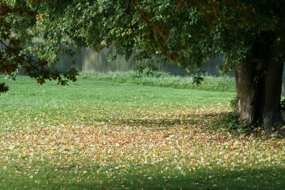 Herbstliche Stimmung