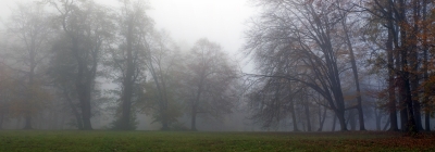 Schlosspark zu Fulda im Nebel