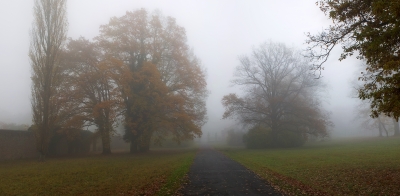 Schlosspark im Nebel