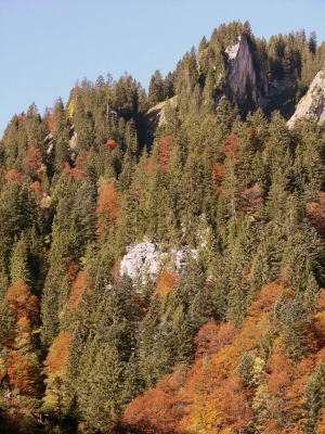 Herbstfarben in Österreich