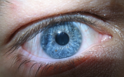 Mein Auge