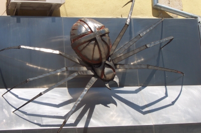Spinne als Deko eines Ladens in Varna