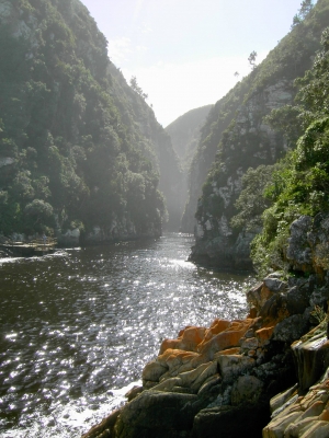 Südafrika - Storms River