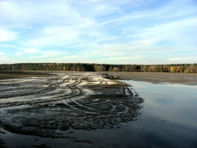 November 2008, Erdarbeiten, Sanierung des Dechsendorfer Weiher