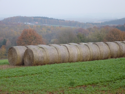 Strohballen