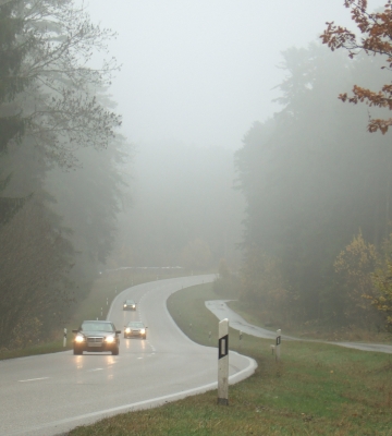 Herbst Nebel Straße_2
