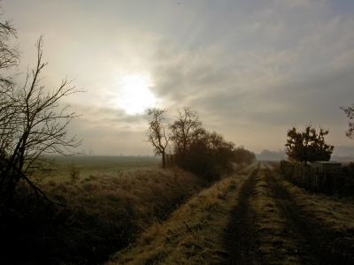 Feldweg