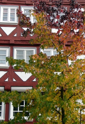 Fassade mit Herbstblättern