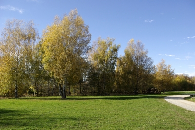 Herbstfarben im November 2