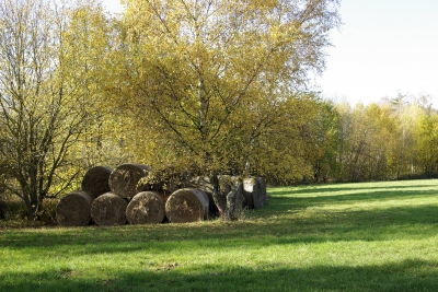 Herbstfarben im November 3