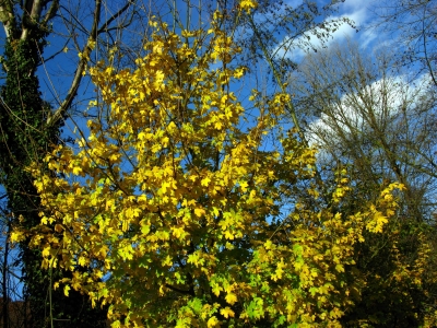 Herbst im Bergischen Land #6