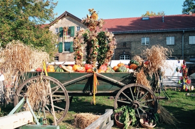 Bauernwagen