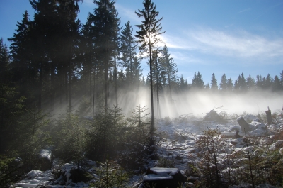 Sonne vertreibt Nebel