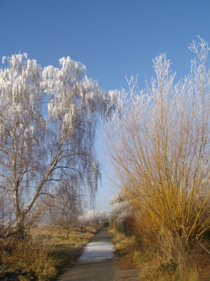 Winterlandschaft