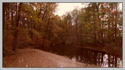 Waldsee im Herbstkleid