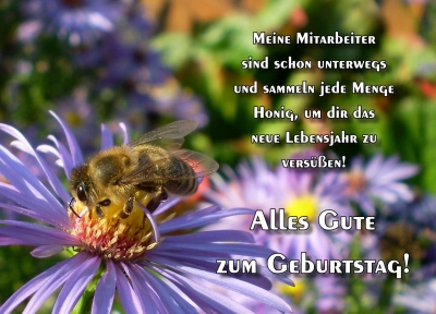 Aira's Postkarten - Geburtstagswünsche mit Bienchen