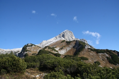 Scheiblingstein