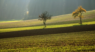 Herbstfelder vor dem Winter