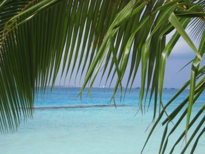 Malediveninsel Kuramathi - Blick aufs Meer