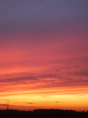 Blick aus meinem Fenster 4