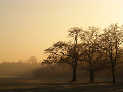 An einem Wintermorgen