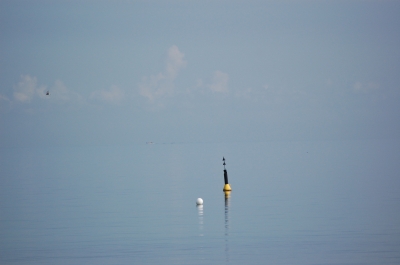 gelb und punkt in blau