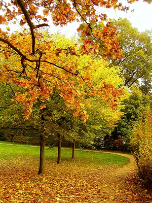 Herbst im Schlosspark