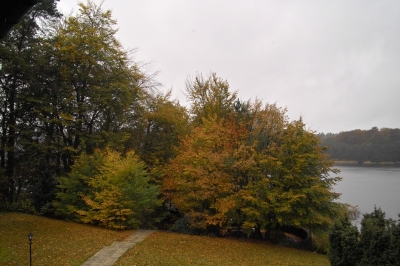 Herbst am Nebelsee 1