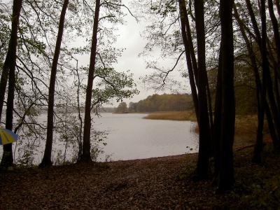 Herbst am Nebelsee 2