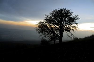 schafft es die Sonne durch die Wolken