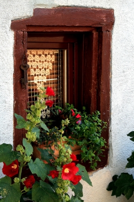 Blühendes Eguisheim