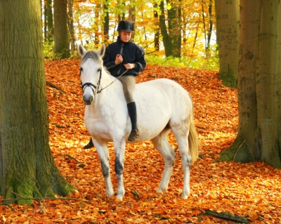 Mary im Wald