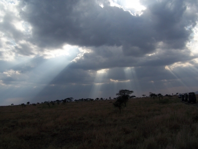 Abend in der Serengeti