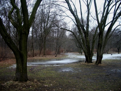 Tauwetter im Tiergarten