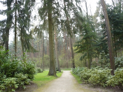 Waldweg