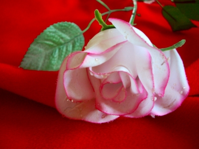 Rose aus Stoff