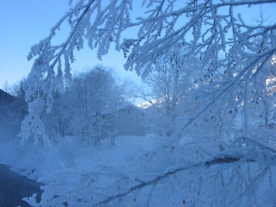 Wintermorgen an der Rhone