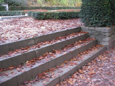 Treppe im Herbst - 4
