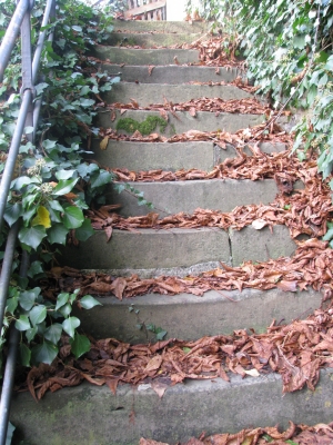 Treppe im Herbst - 2