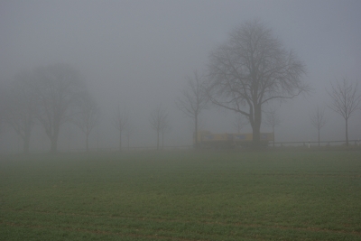 Nebel