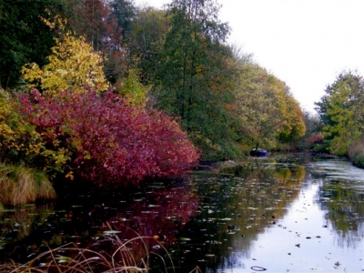 Herbstfarben