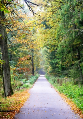 Herbstweg   Poster