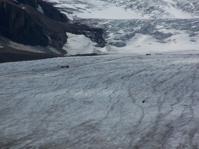 Athabasca-Gletscher 3