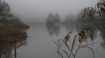 Nebelstimmung am Wasser