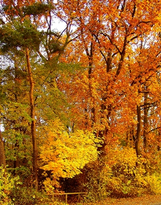 Die Farben des Herbstes