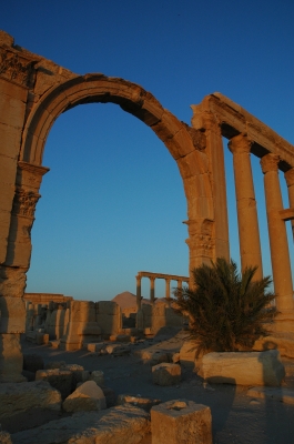 Palmyra