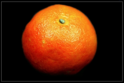 Mandarinen 1