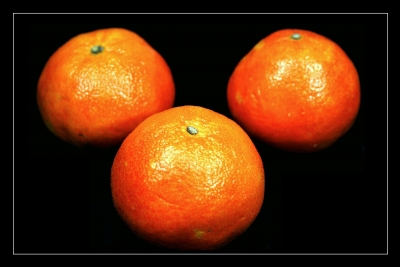 Mandarinen 3