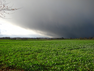 Wenn der Regen Kommt 2