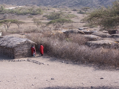 Massai Kral und Schule